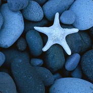 小川（旺旺聊这不回