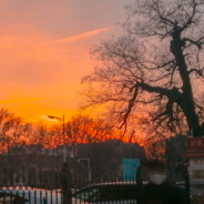 牵你的手你却哭红了眼