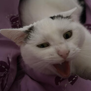 `Zi0m33k - steam id 76561198202788124