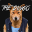 TheDingo