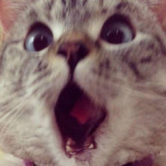 开超市胡乱开超