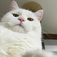 OulI る - steam id 76561199835528361