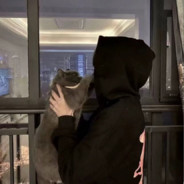 下雨天你一定会想起我.