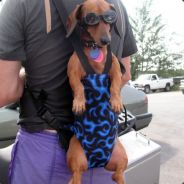Cuni - steam id 76561197961387861