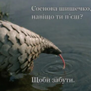 Понос Шредінгера