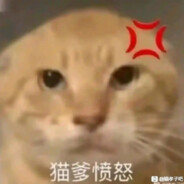 可爱圆头耄耋4号