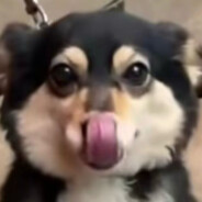 青青草原喜羊羊