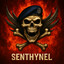 Senthynel