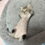 Sphinx