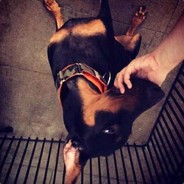 盗我号死全家傻逼玩意儿