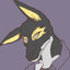 Blackjackal
