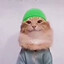 MuslimCat