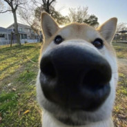 我的老二比你大丶