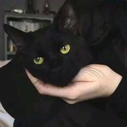 你活着只会打光队伍的大电