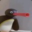 •҉ NOOT NOOT