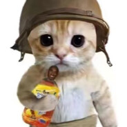 The Elder Scrolls : 世界咽喉