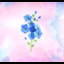 Arke