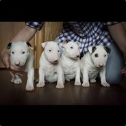 🇺🇦Кислотник🇺