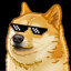 Doge