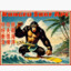APE MASTER SURF KUNG FU