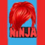 Ginja Ninja