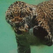 Leopard/PEEK