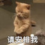 猫仔O