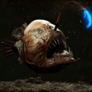 AnglerFish