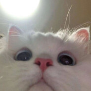 纯情性感火辣母蟑螂