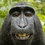 monkeyman