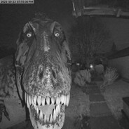 perkisaurus rex