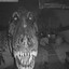 perkisaurus rex