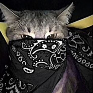 krzyś  ;} skins.army