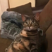 Василий hui.SKINS