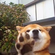 你爸爸还是你爸爸