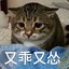 莉莉酱sama