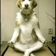 아옳옳옳옳옳옳옳옳옳