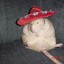 Fat Rat With A Hat