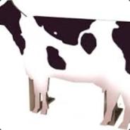 that spy was a cow