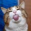 Meow Meow