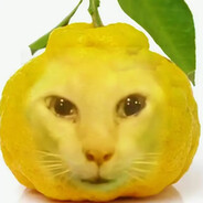 yiyiyi