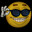 SteydinG SKINS