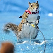 Riversquirrel