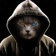 黑色的猫