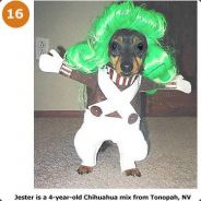 ک₮Đ|ŠМǿҜе Ŧĥǻţ