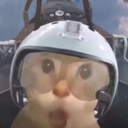 让西方的朋友做出回答