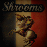 Mr. Shrooms