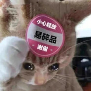 今天也是酷酷鲨鱼