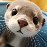 不能带我躺赢的你，心中就没有一丝羞愧吗？