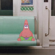 老板树篱走私密多少出